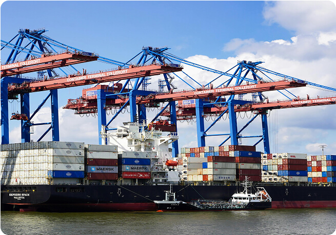 Customs Brokerage & Project Handling